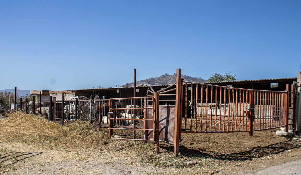 TERRENO_VENTA-SAN AGUSTIN EJIDO (2)