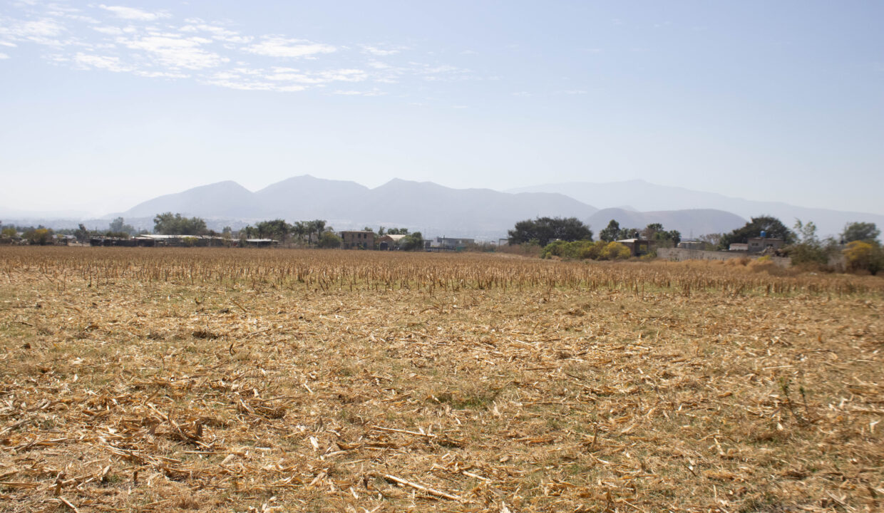 TERRENO_VENTA-SAN AGUSTIN EJIDO (4)