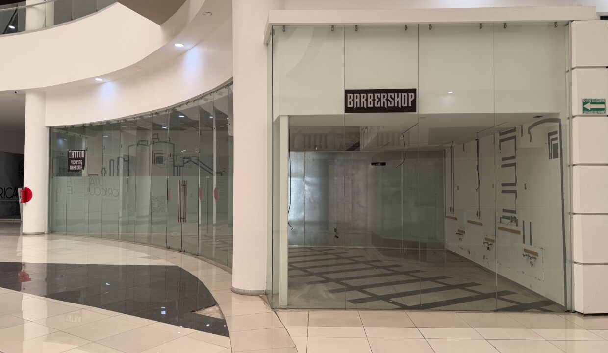 IMG_4641