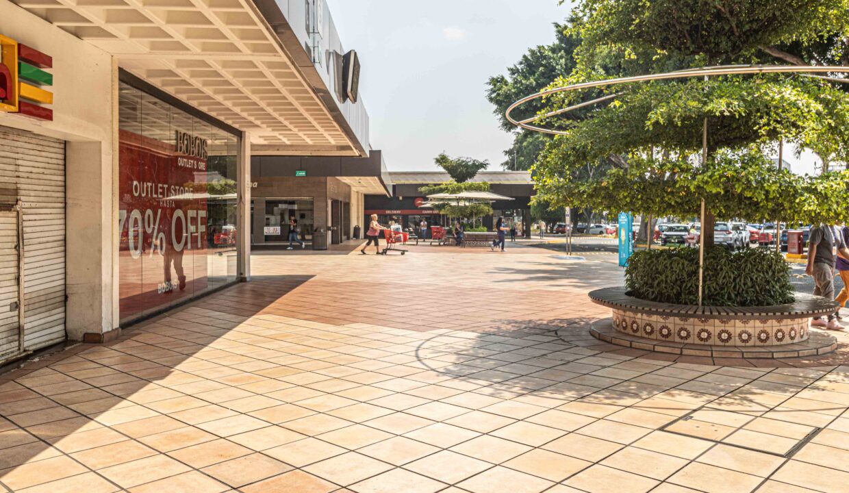 local_renta_plaza del sol-guadalajara (15)