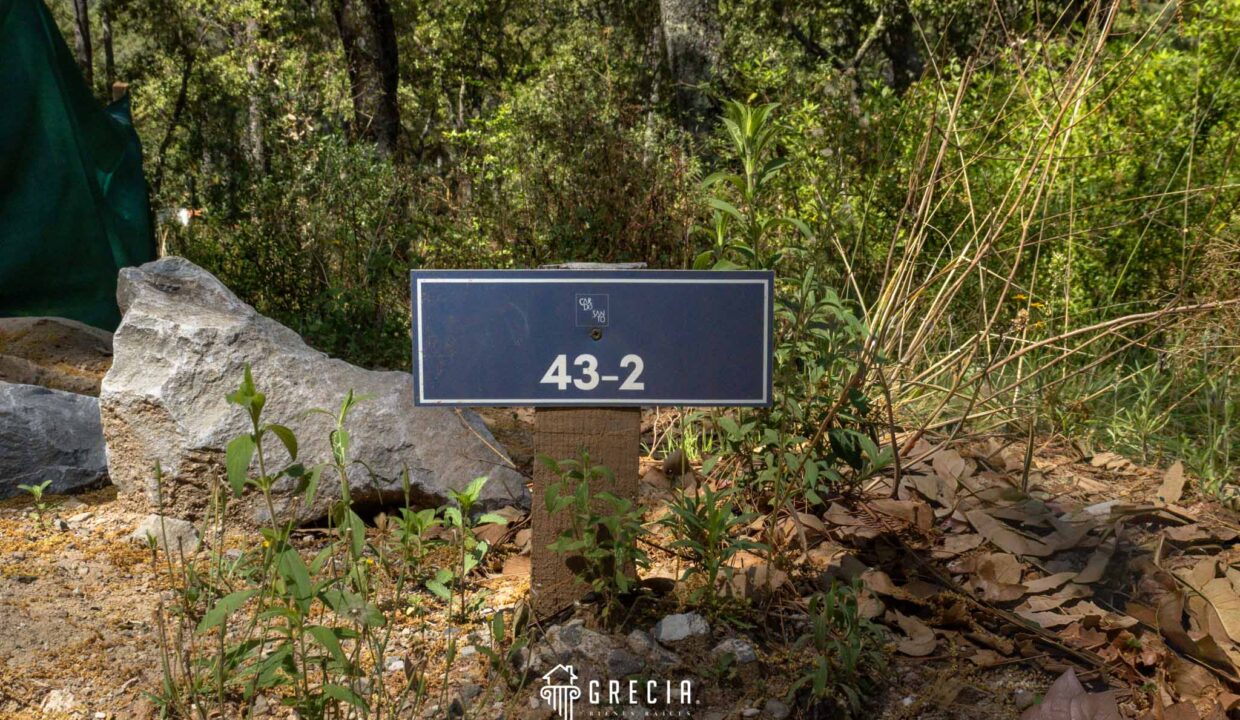 Terreno_venta_tapalpa.06