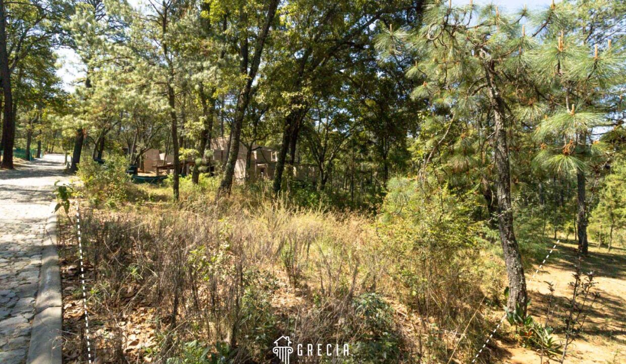 Terreno_venta_tapalpa.09