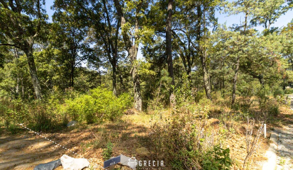 Terreno_venta_tapalpa.10