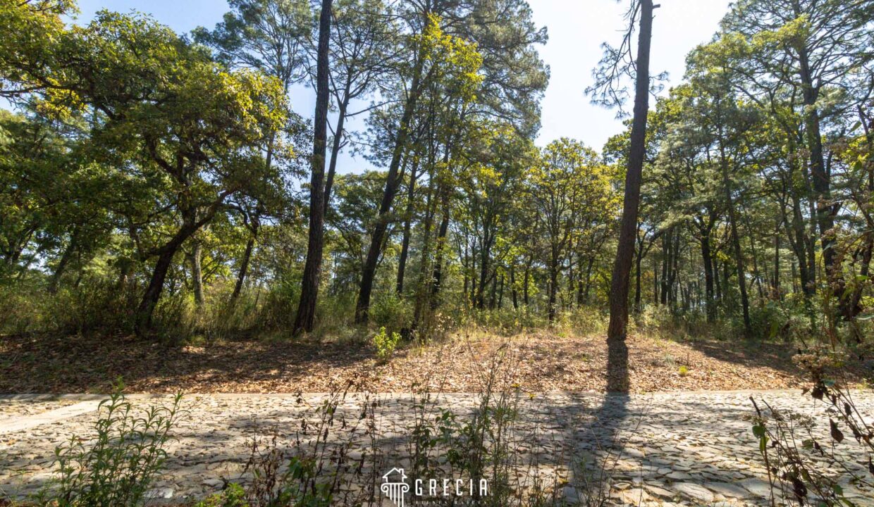 Terreno_venta_tapalpa.11