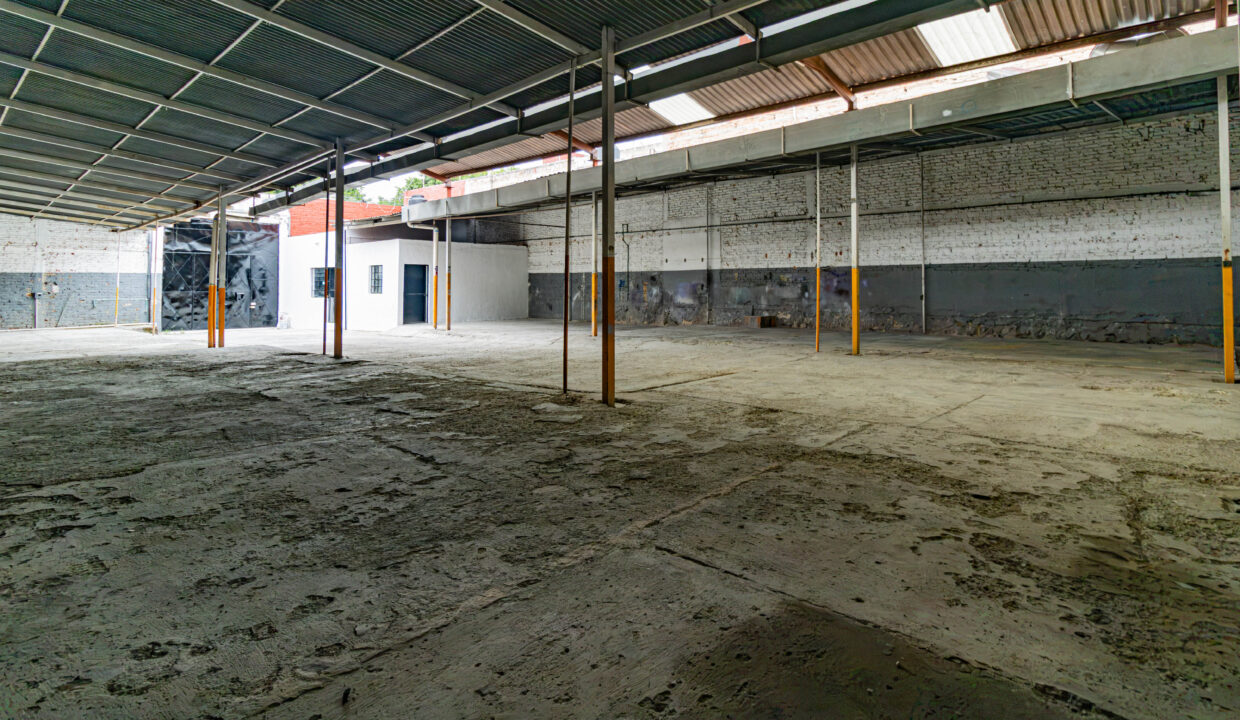 local-renta-calzada-guadalajara (7)